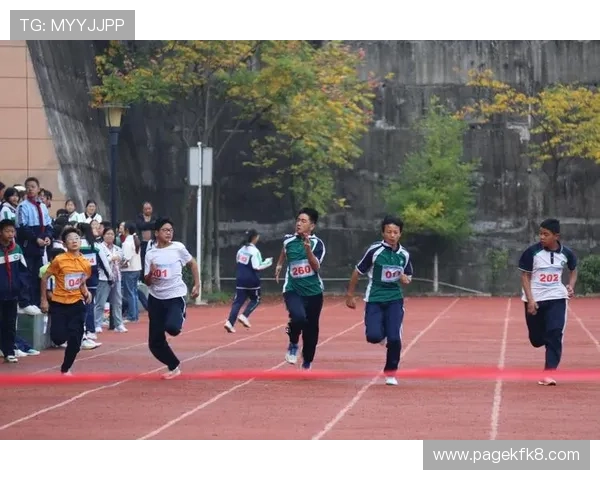 凯发FB体育:未来发展规划与行业竞争中的优势分析 凯发FB体育:未来发展规划与行业竞争中的优势分析